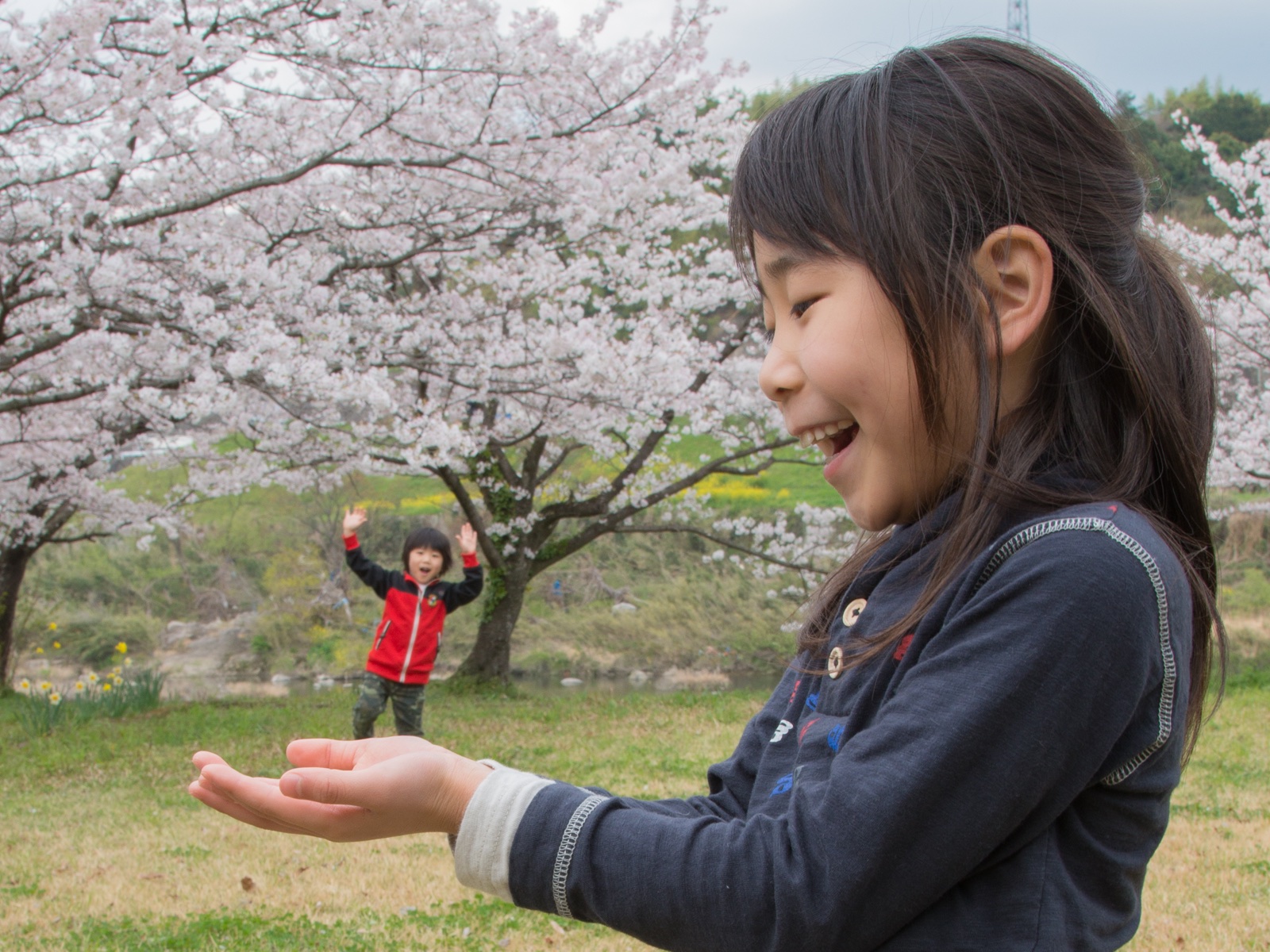 食べられる おもしろトリック写真を撮ろう ママフォト トピックス クルールとちぎ ママライフをハッピー カラフルに
